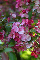 Similar image 21167969