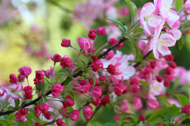 Similar image 21167970