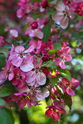 Similar image 21167971