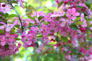 Similar image 21167972