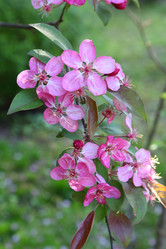 Similar image 21167973