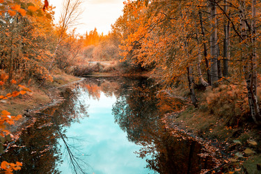 Similar image 21176912