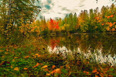 Similar image 21176913