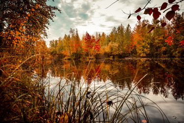 Similar image 21176915