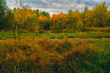 Similar image 21176916