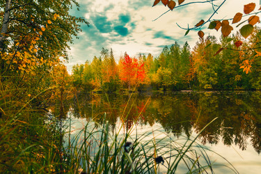 Similar image 21176917