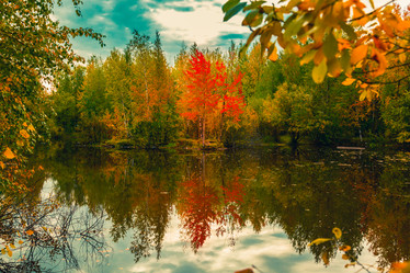 Similar image 21176919