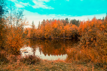 Similar image 21176920