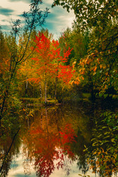 Similar image 21176921