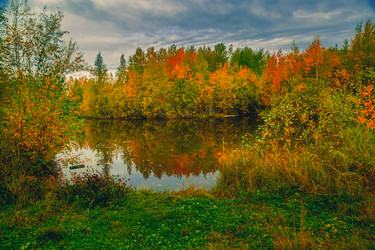 Similar image 21176922