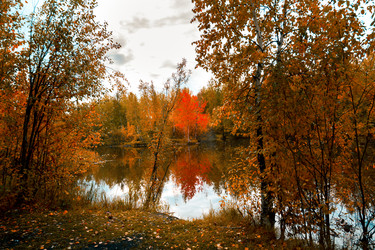 Similar image 21176923