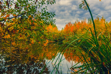 Similar image 21176924