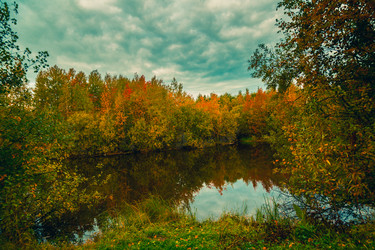 Similar image 21176926