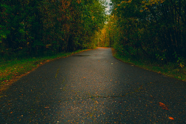 Similar image 21176927