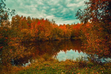 Similar image 21176928