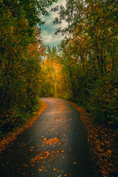 Similar image 21176933