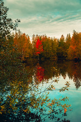 Similar image 21176934