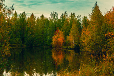 Similar image 21176937