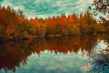 Similar image 21176938