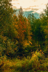 Similar image 21176939