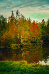 Similar image 21176940