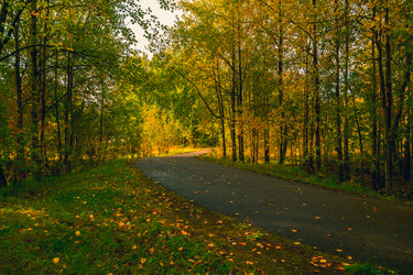 Similar image 21176941