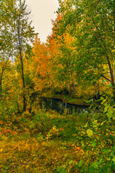 Similar image 21176943