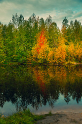 Similar image 21176944