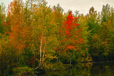 Similar image 21176946