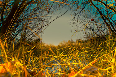 Similar image 21176947