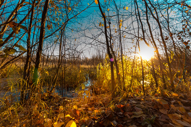 Similar image 21176949