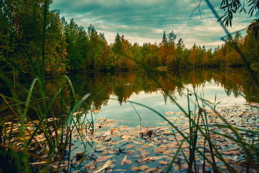 Similar image 21176950