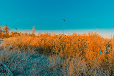 Similar image 21176951