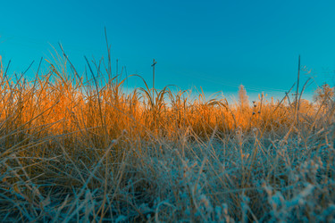 Similar image 21176953