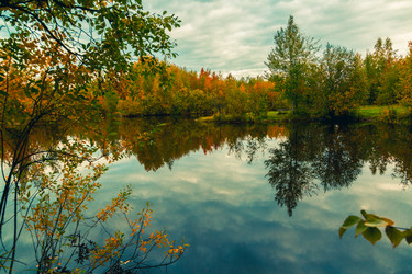 Similar image 21176954