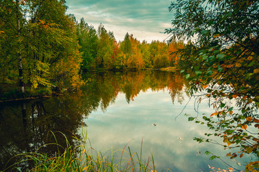 Similar image 21176956