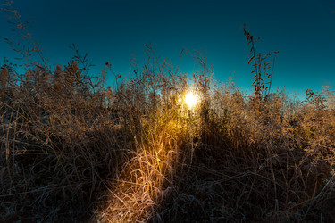 Similar image 21176957