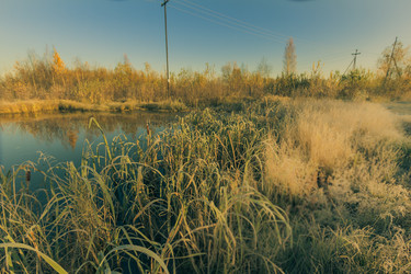 Similar image 21176959