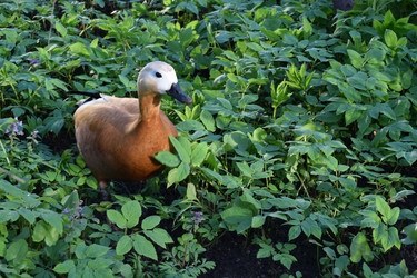 Similar image 21168437