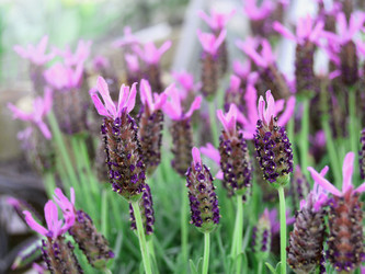 Similar image 21168440