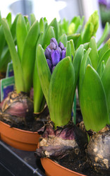 Similar image 21168442