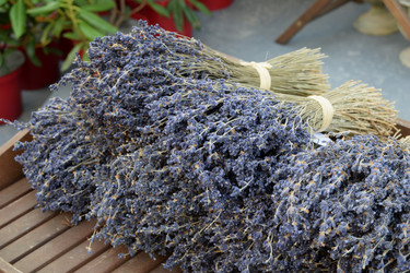 Similar image 21168444