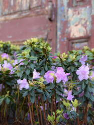 Similar image 21168446