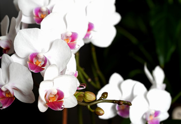 Similar image 21171455