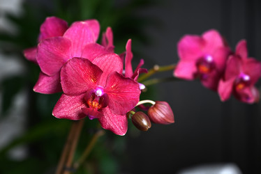 Similar image 21171458