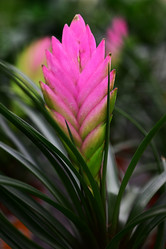 Similar image 21171460