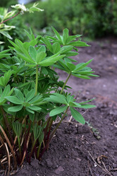 Similar image 21171462