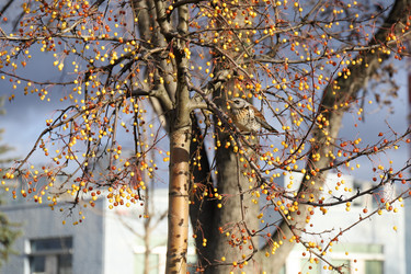 Similar image 21167214