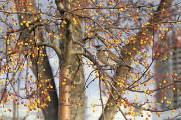 Similar image 21167215