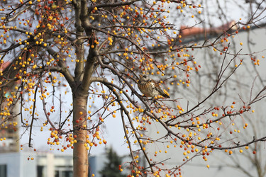 Similar image 21167216